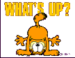 whatsup.gif